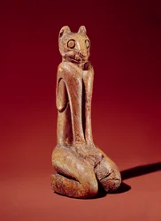 Die Key Marco Katze, aus Florida